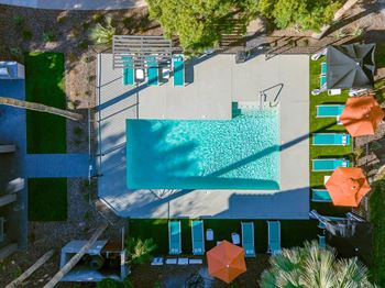 Swimming Pool and Lounge